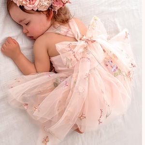 arabella and rose flower girl dress 2T